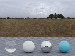 Suburban Field 01