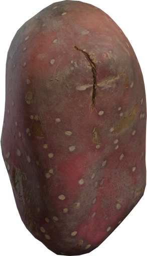 Sweet Potato — free food & plants CC0 3D model