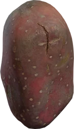 Sweet Potato