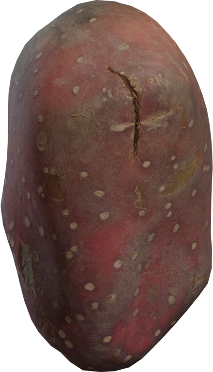Sweet Potato