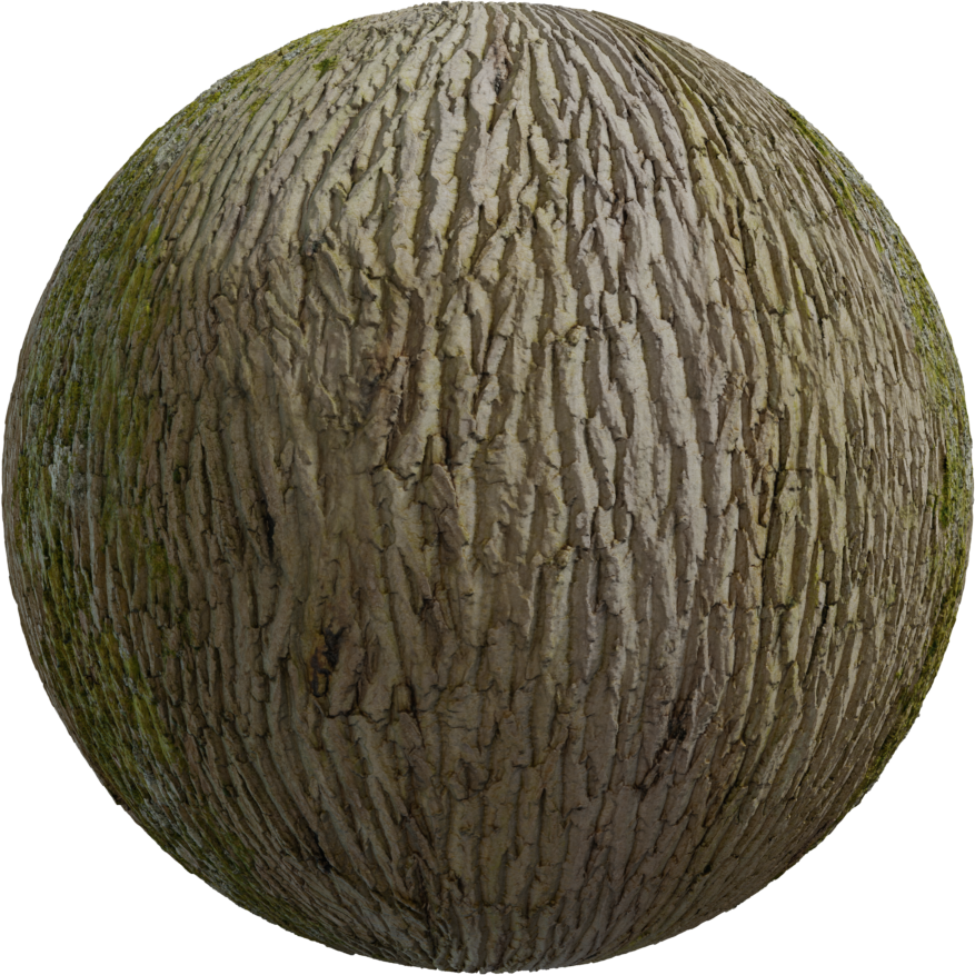 树木树皮 03 · PBR材质（Tree Bark 03）