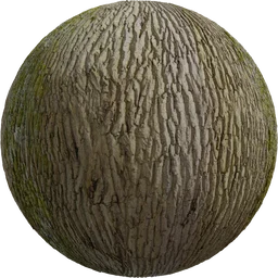 Tree Bark 03