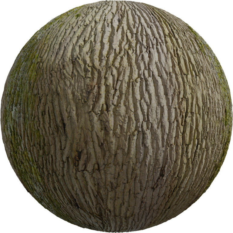 Tree Bark 03