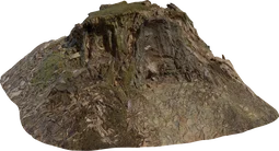 Tree Stump 01