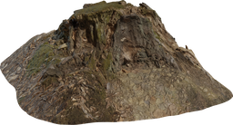 Tree Stump 01