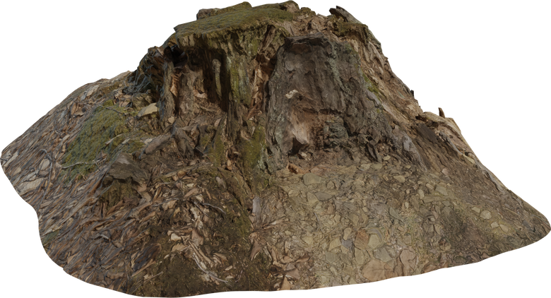 Tree Stump 01