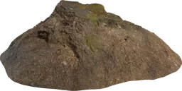 Tree Stump 02