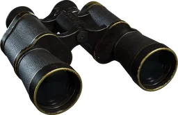 Vintage Binoculars