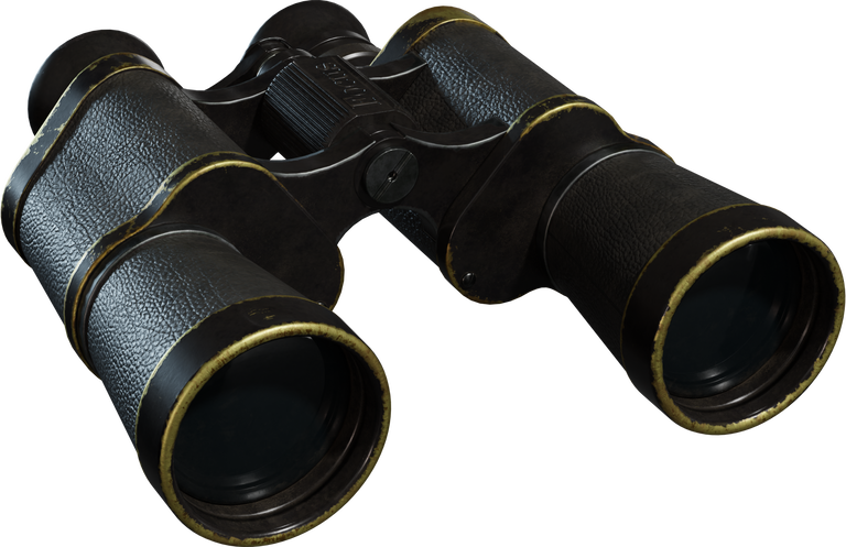 Vintage Binoculars