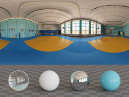 Wrestling Gym