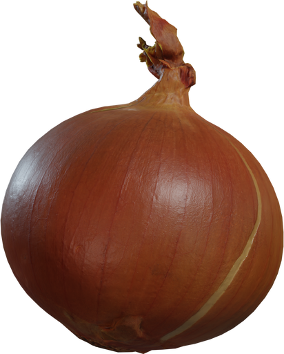 Yellow Onion — free props CC0 3D model