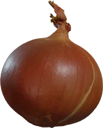 Yellow Onion