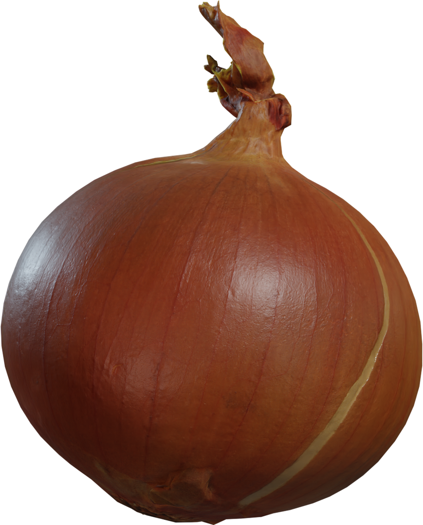Yellow Onion